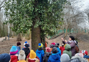 Dzieci oglądają bluszcz rosnący na drzewie