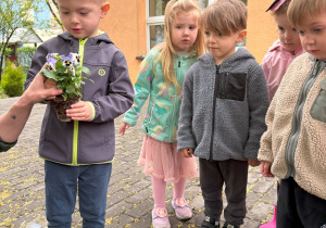 dziecko podczas sadzenia kwiatów