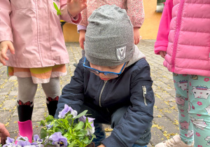 dziecko podczas sadzenia kwiatów