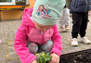 dziecko podczas sadzenia kwiatów