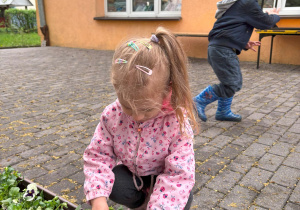 dziecko podczas sadzenia kwiatów