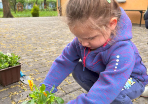 dziecko podczas sadzenia kwiatów