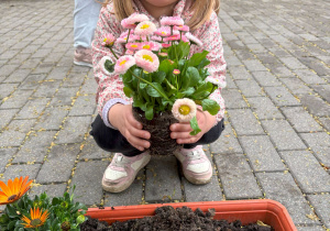 dziecko podczas sadzenia kwiatów