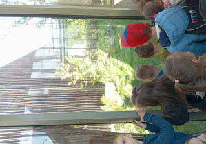 dzieci na wycieczce w ZOO