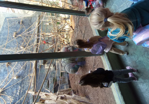 dzieci na wycieczce w ZOO