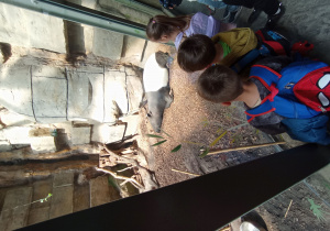 dzieci na wycieczce w ZOO
