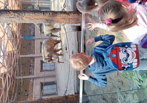 dzieci na wycieczce w ZOO