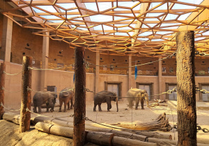 zwierzę w ZOO