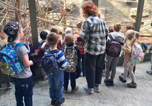 dzieci podczas wycieczki do ZOO