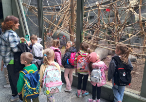 dzieci podczas wycieczki do ZOO