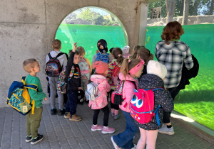 dzieci podczas wycieczki do ZOO