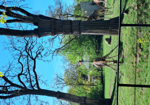 zwierzę w ZOO