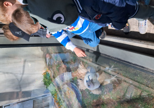 dzieci podczas wycieczki do ZOO