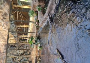 zwierzę w ZOO