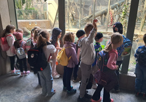 dzieci podczas wycieczki do ZOO
