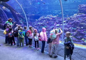 dzieci podczas wycieczki do ZOO