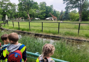 dzieci w zoo