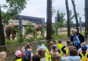 dzieci w zoo