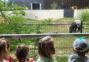dzieci w zoo