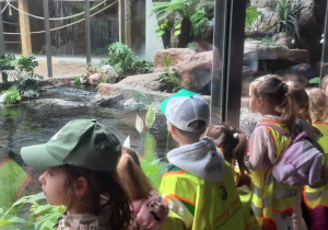 dzieci w zoo
