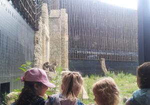 dzieci w zoo
