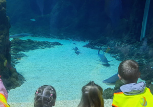 dzieci w zoo