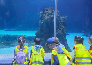 dzieci w zoo