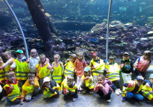 dzieci w zoo