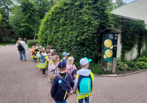 dzieci w zoo