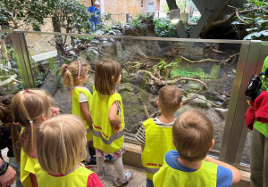 dzieci w zoo