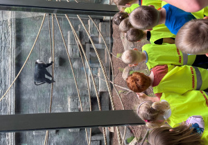 dzieci w zoo