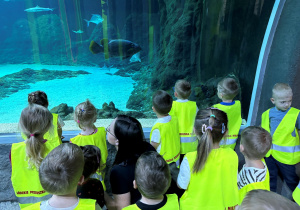dzieci w zoo