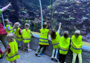 dzieci w zoo