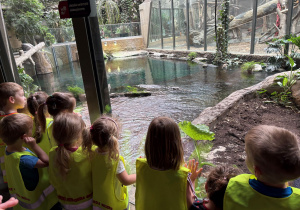 dzieci w zoo