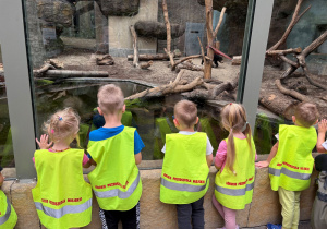 dzieci w zoo