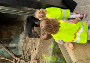 dzieci w zoo
