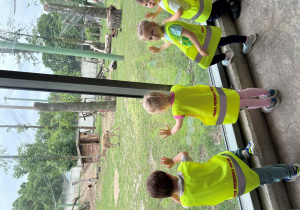 dzieci w zoo