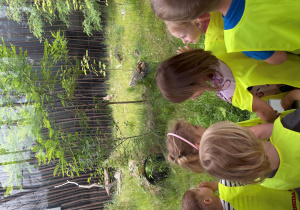 dzieci w zoo