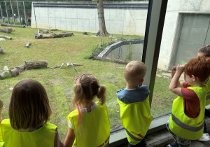 dzieci w zoo