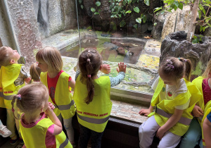dzieci w zoo
