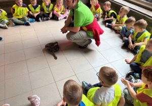 dzieci w zoo