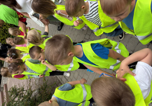 dzieci w zoo