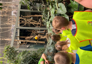 dzieci w zoo