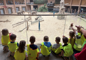 dzieci w zoo