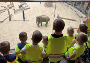 dzieci w zoo