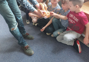 Dzieci dotykają węża