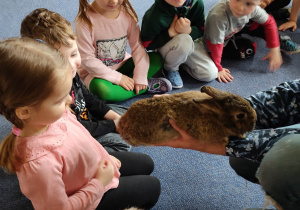Dzieci oglądają królika
