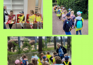 kolaż zdjęć z wycieczki do zoo