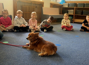 Dogoterapia