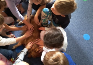 Dogoterapia 6